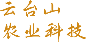 焦作市青峰網絡科技有限公司