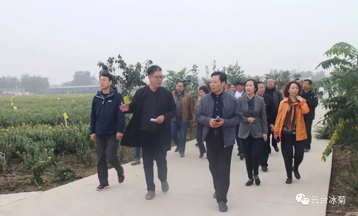 云臺冰菊基地發生了什么？一批批領導專家團隊前來！